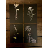 Flowercards from Nordic angan